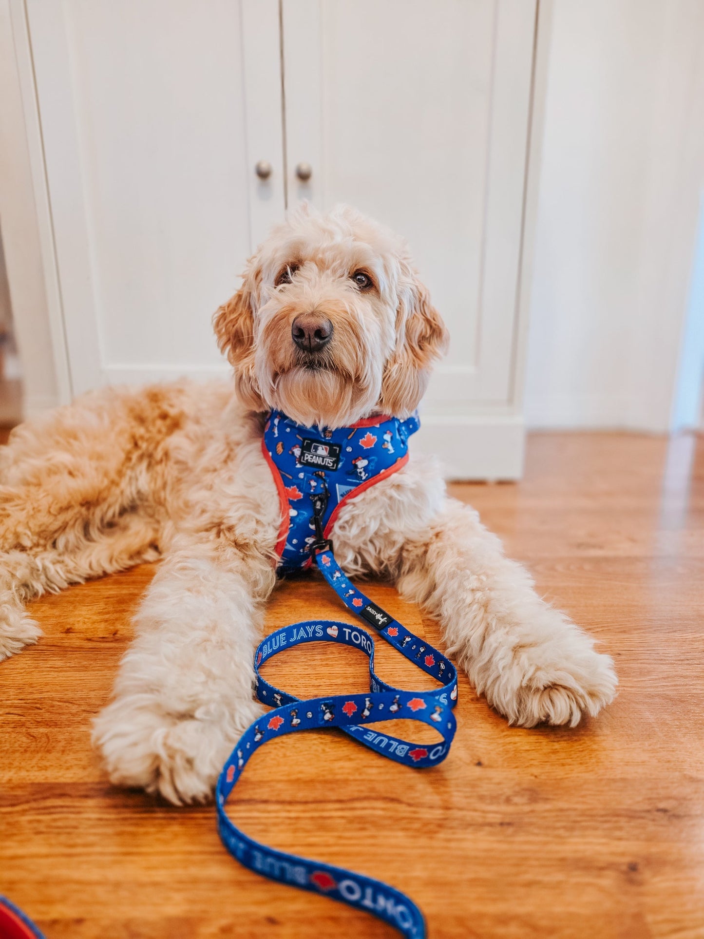 Dog Two Piece Bundle - MLB™ x Peanuts™ Toronto Blue Jays™