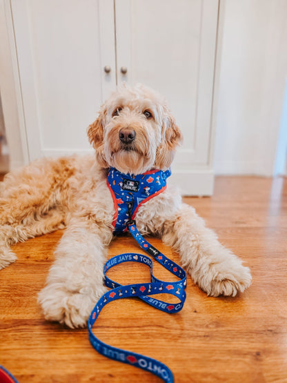 Dog Two Piece Bundle - MLB™ x Peanuts™ Toronto Blue Jays™