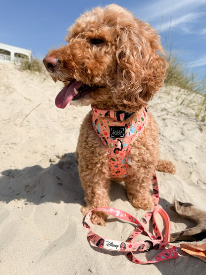 Dog Two Piece Bundle - Disney's Moana