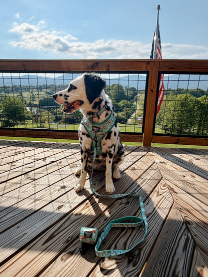 Dog Four Piece Bundle - Peanuts™ Road Tripping