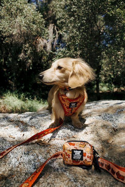 Dog Waste Bag Holder - Hot Dawg