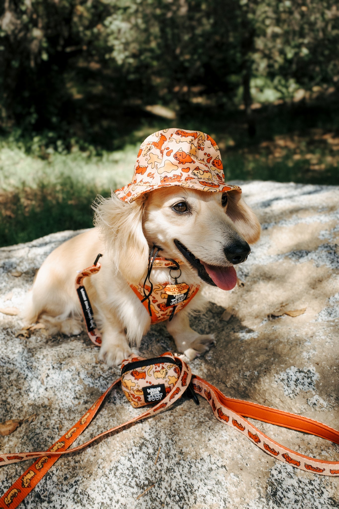 Dog Bucket Hat - Hot Dawg