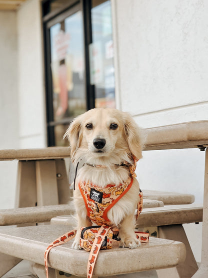 Dog Four Piece Bundle - Hot Dawg
