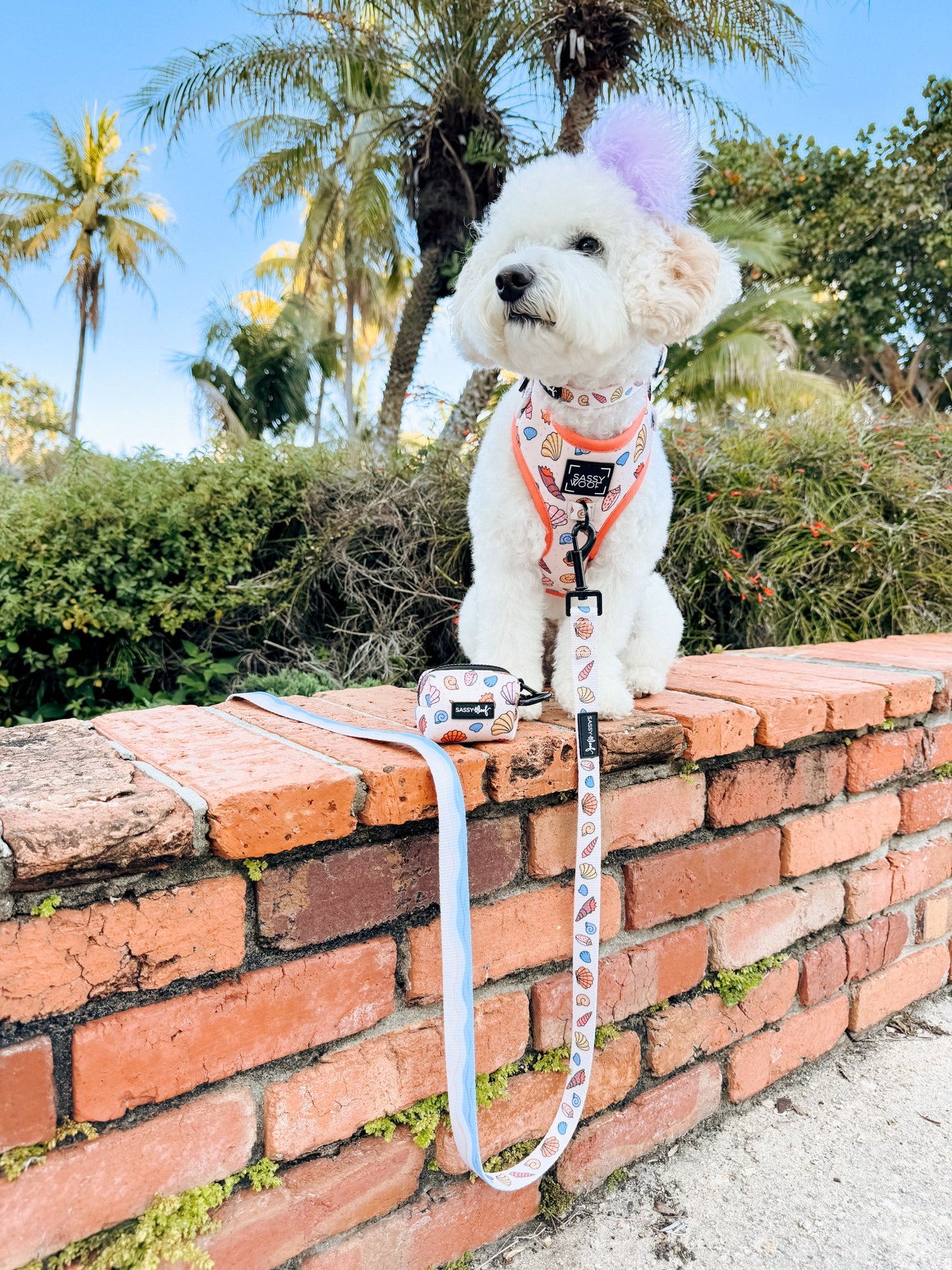 Dog Leash - Shell Yeah