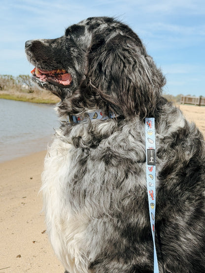 Dog Leash - Coastal Cuties