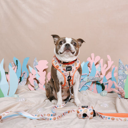 Dog Four Piece Bundle - Shell Yeah