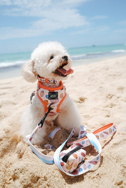 Dog Four Piece Bundle - Shell Yeah