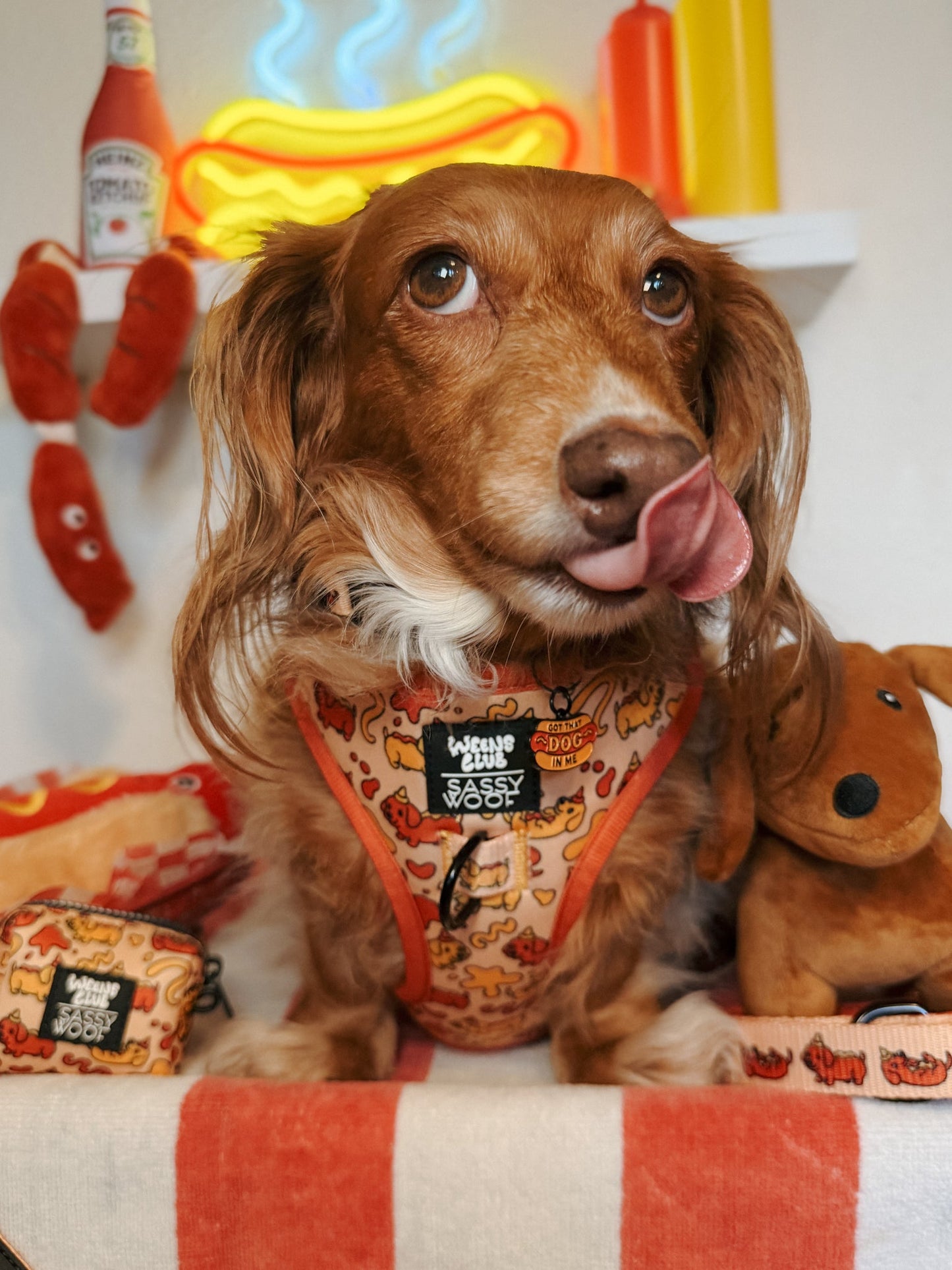 Dog Waste Bag Holder - Hot Dawg