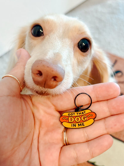 Dog Four Piece Bundle - Hot Dawg