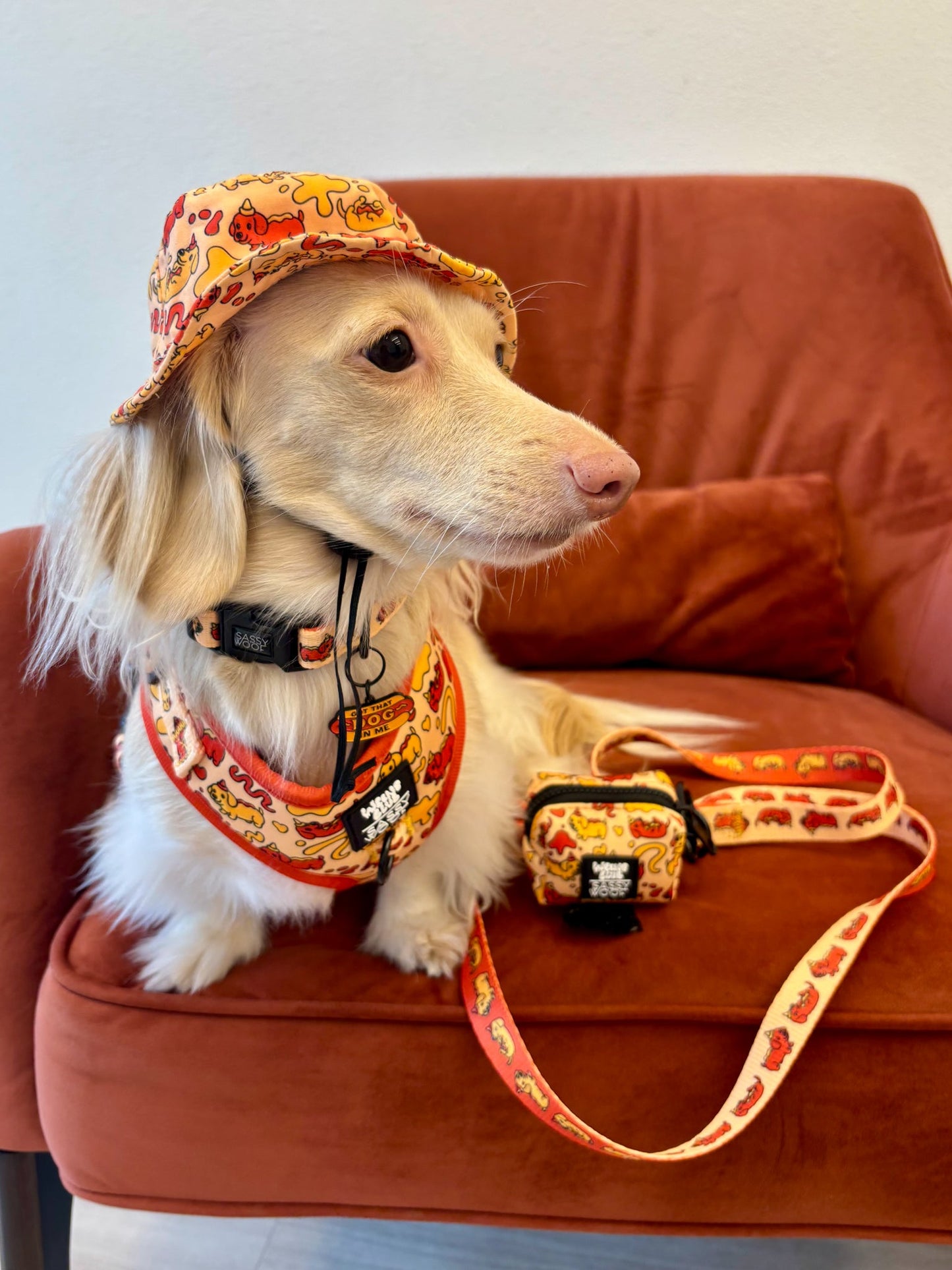 Dog Bucket Hat - Hot Dawg