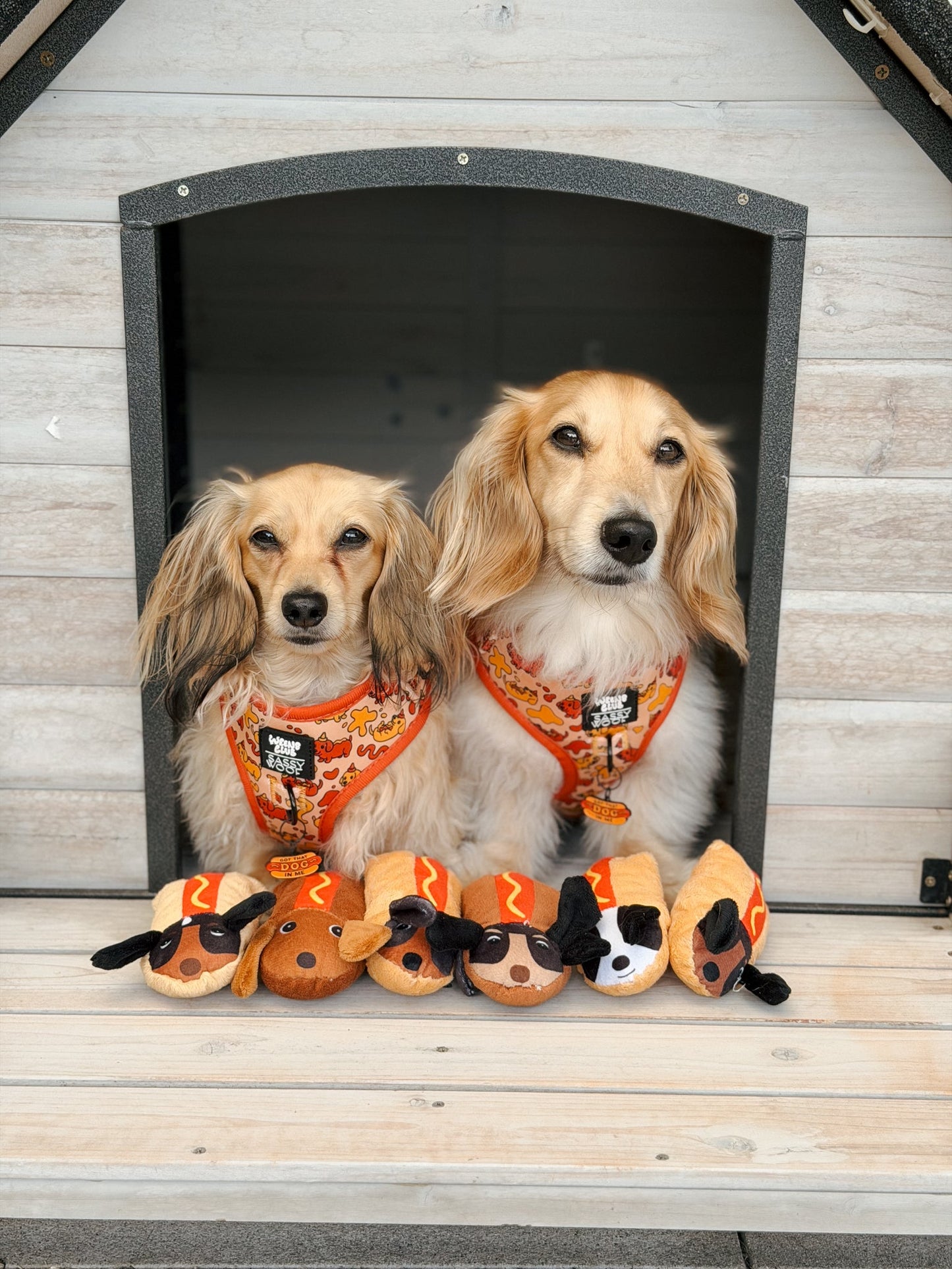 Dog Four Piece Bundle - Hot Dawg