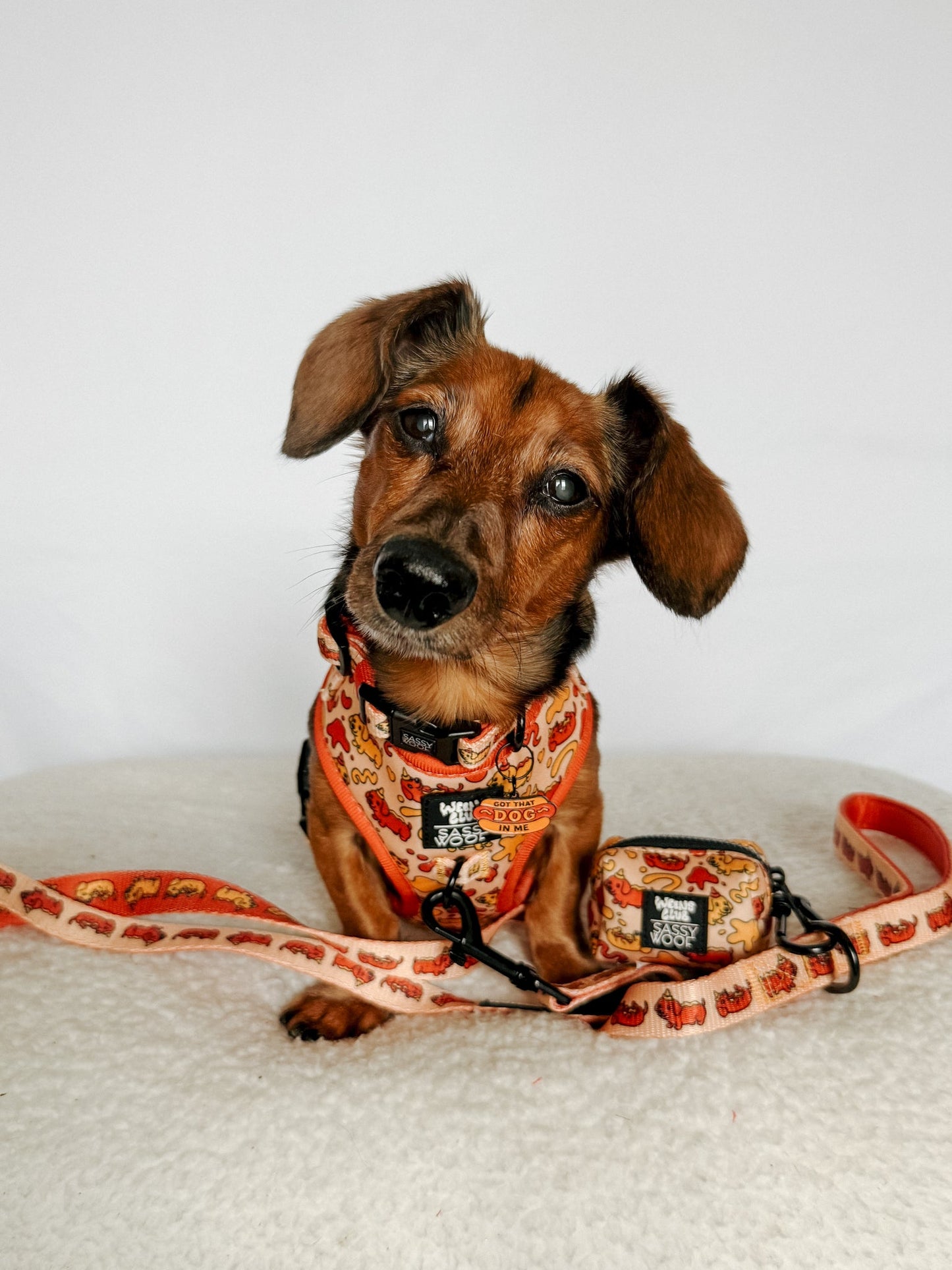Dog Four Piece Bundle - Hot Dawg