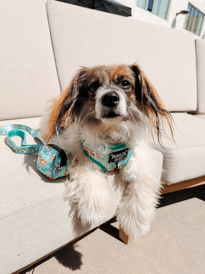 Dog Four Piece Bundle - Peanuts™ Road Tripping