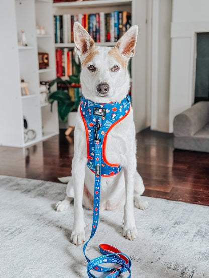 Dog Two Piece Bundle - MLB™ x Peanuts™ Toronto Blue Jays™