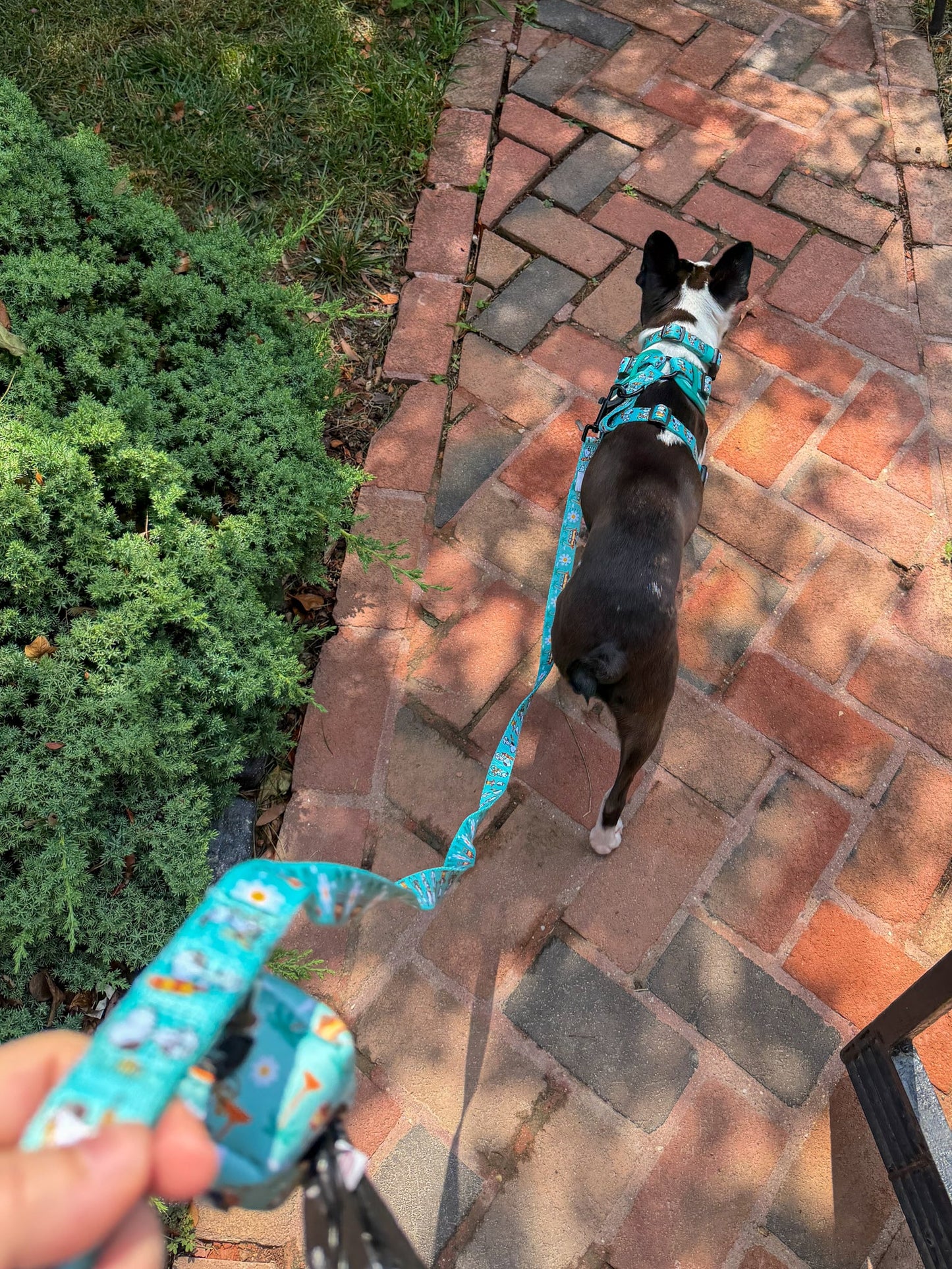 Dog Waste Bag Holder - Peanuts™ Road Tripping