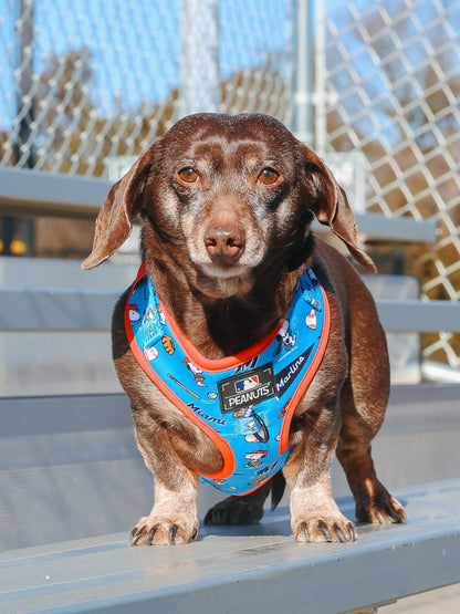 Harness Three Piece Bundle - MLB™ x Peanuts™ Miami Marlins™