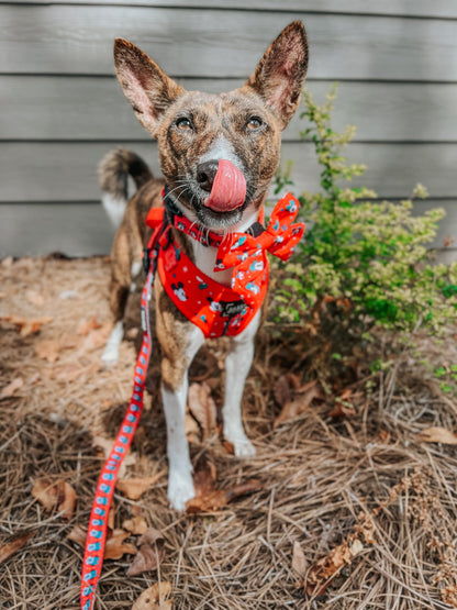 Dog Sailor Bow - Disney Holiday Collection