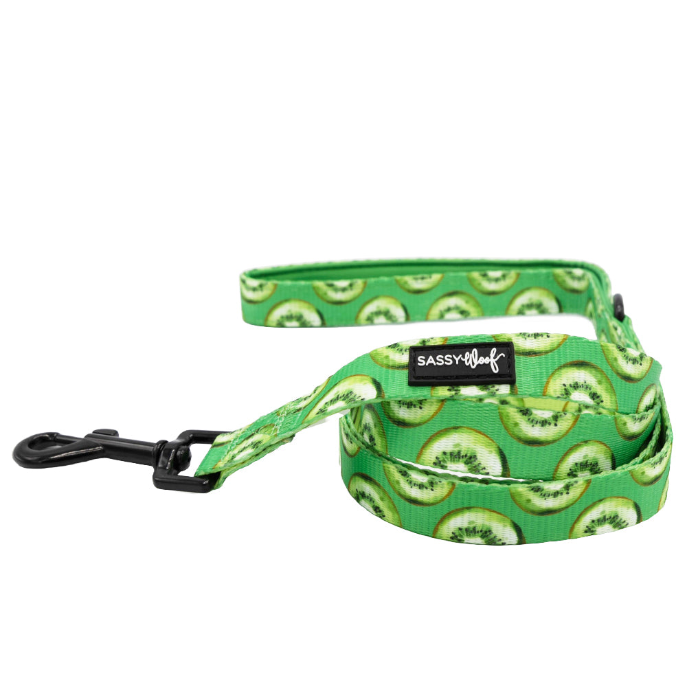 Dog Two Piece Bundle -  Kiwi Krazy