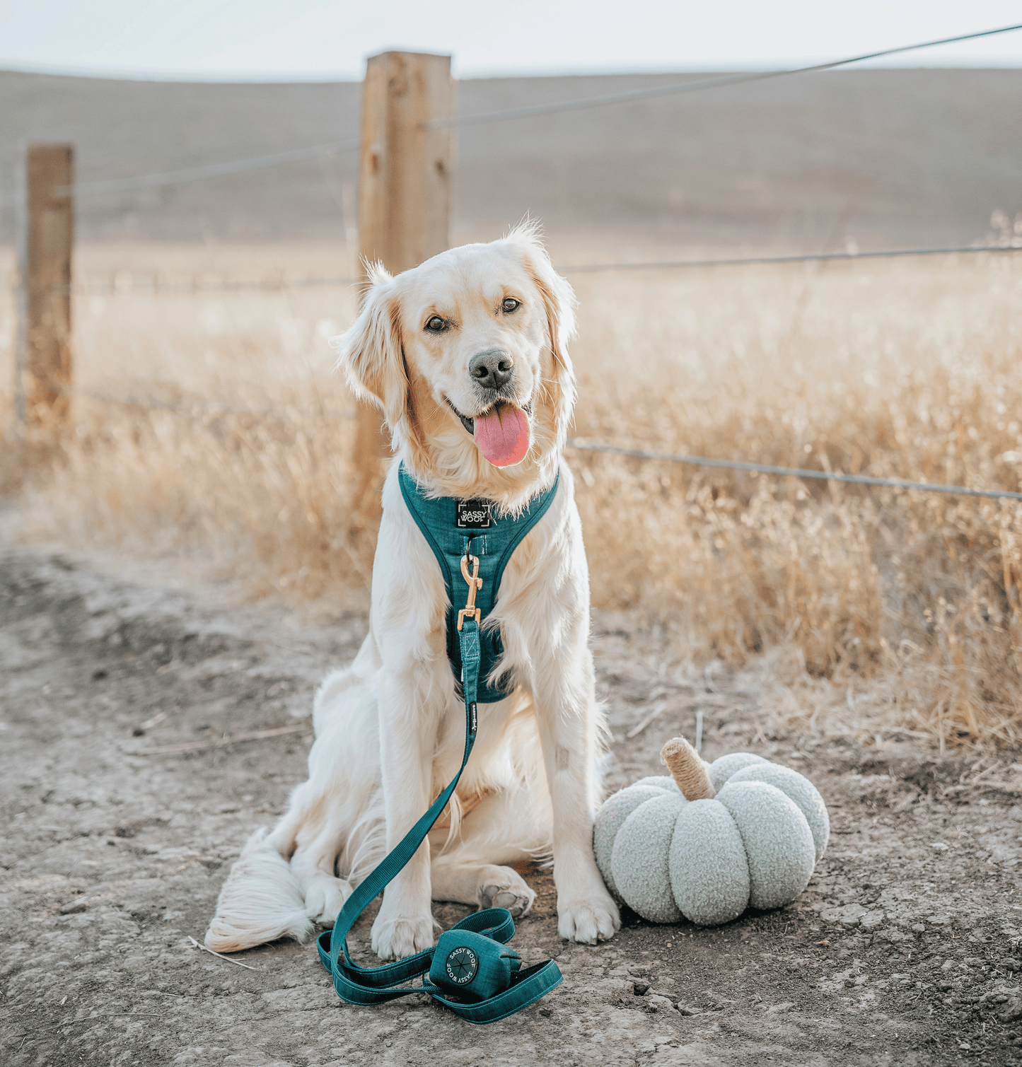 Dog Waste Bag Holder - Forest