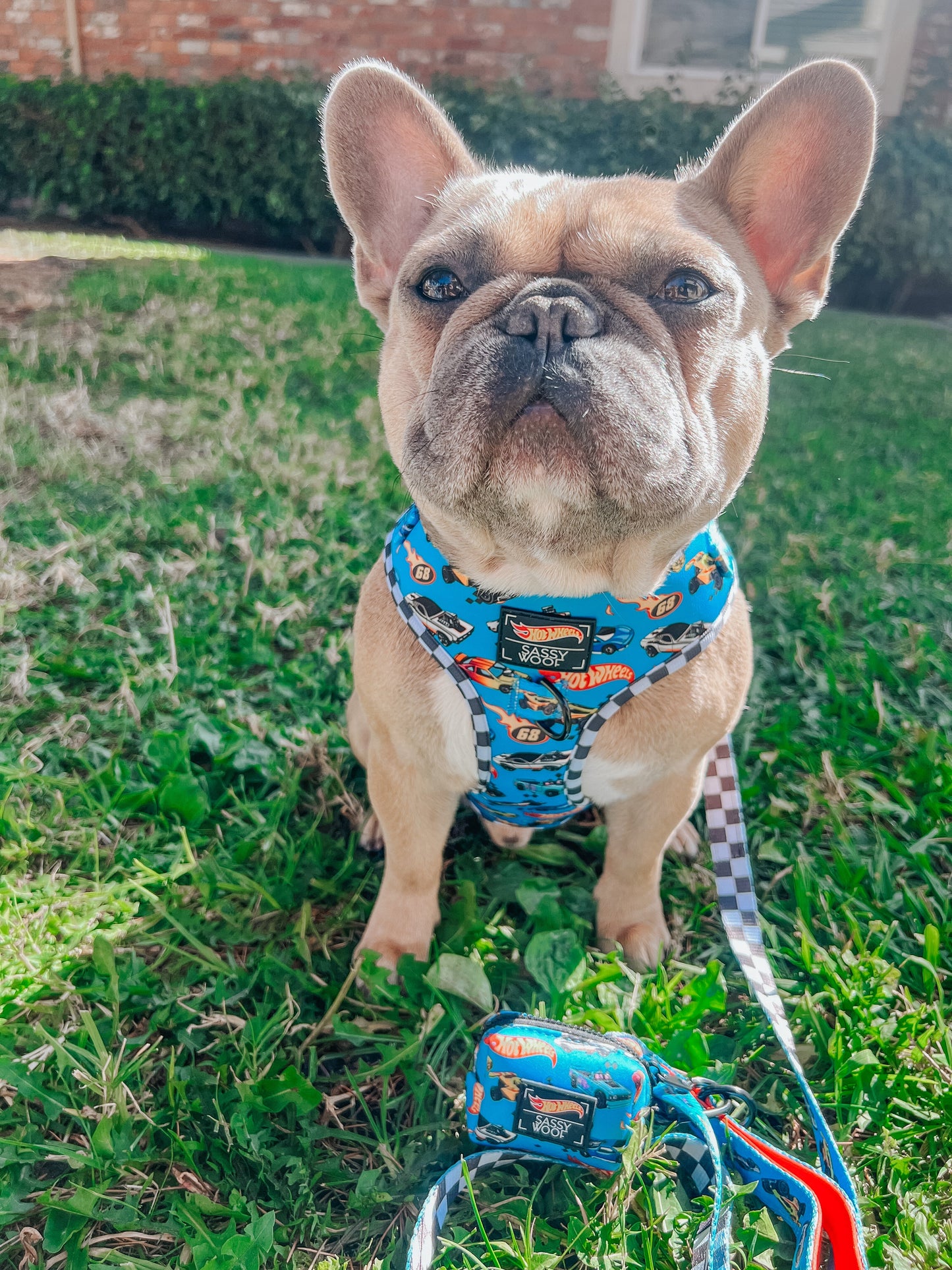 Dog Two Piece Bundle - Hot Wheels™