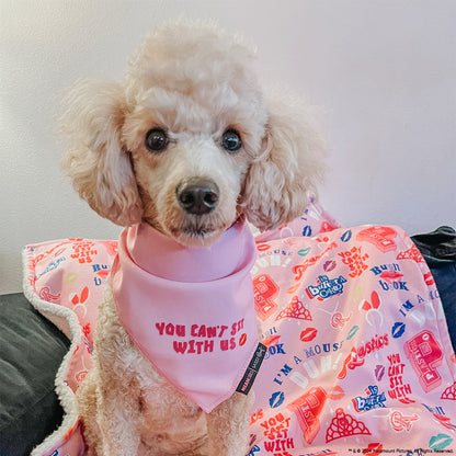 Dog Bandana - Mean Girls™ You Can't Sit With Us