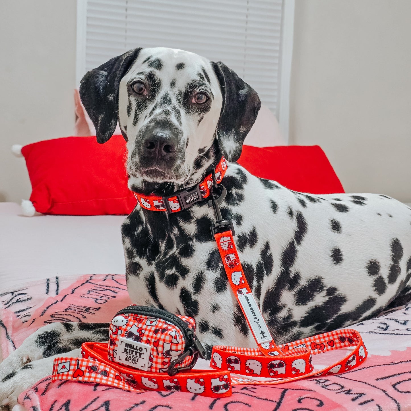 Dog Leash - Hello Kitty® Red Classic