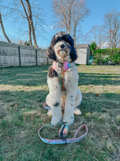 Dog Adjustable Harness - The Night Life