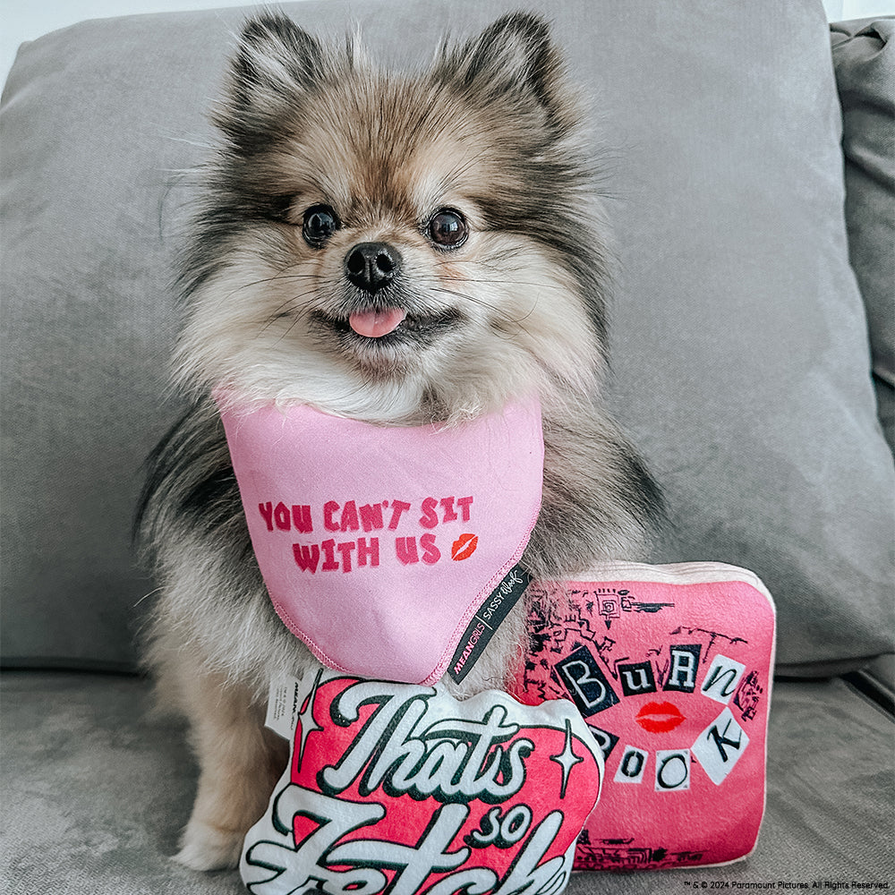 Dog Bandana - Mean Girls™ You Can't Sit With Us