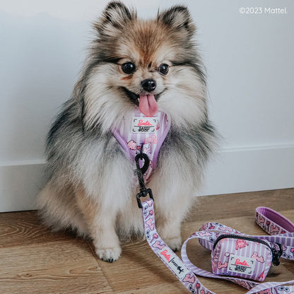 Dog Leash - BARBIE™ Closet Goals