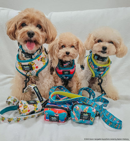Dog Collar - SpongeBob SquarePants™ and Friends