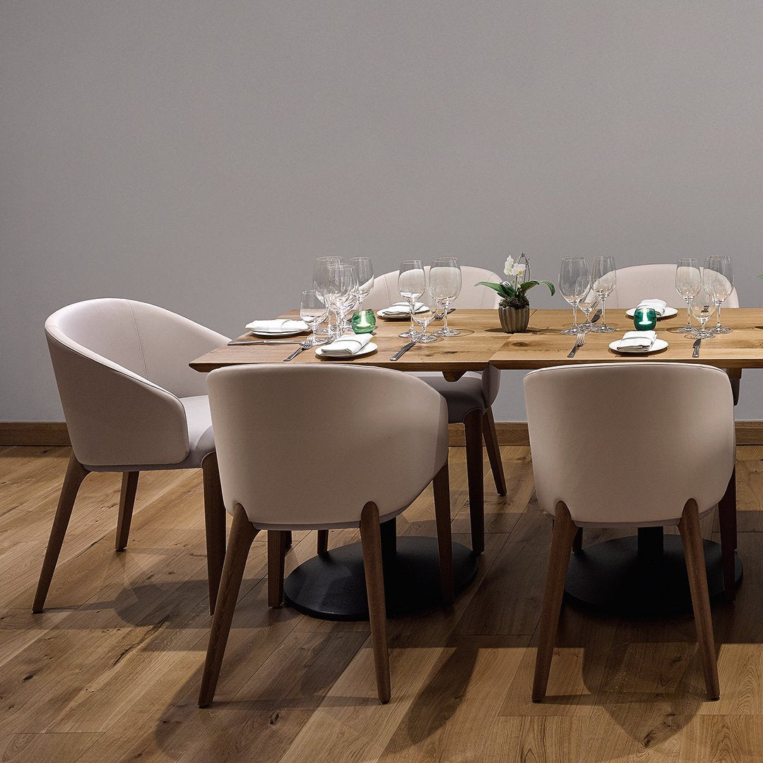 Bellevue 02 Dining Armchair - Ash Frame