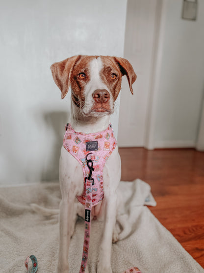 Dog Two Piece Bundle - Out of Office