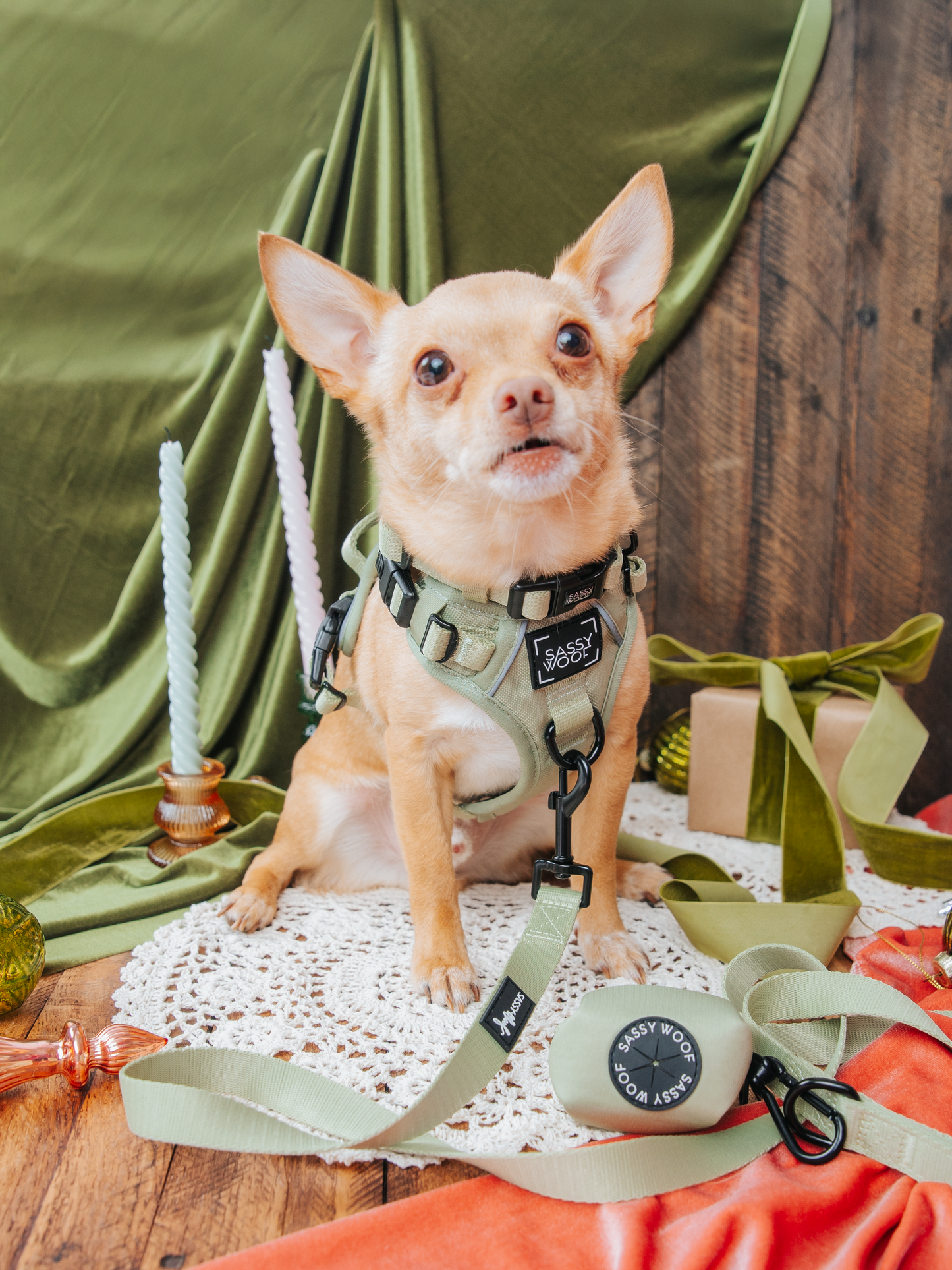 Dog Waste Bag Holder - Matcha