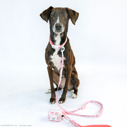 Dog Collar Three Piece Bundle - My Melody™