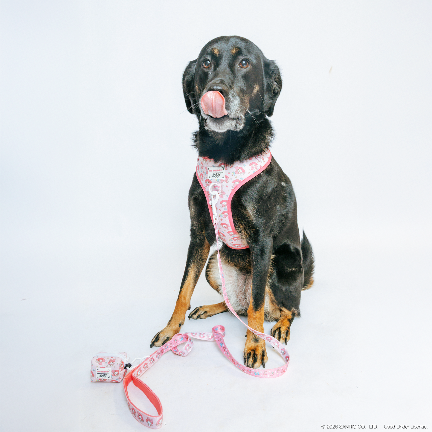 Dog Collar Three Piece Bundle - My Melody™