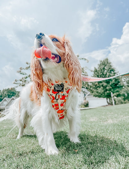 Dog Adjustable Harness - Pie There!