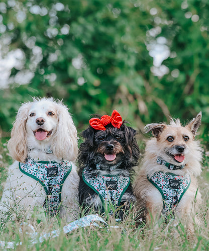 Dog Adjustable Harness - Under the Mistletoe