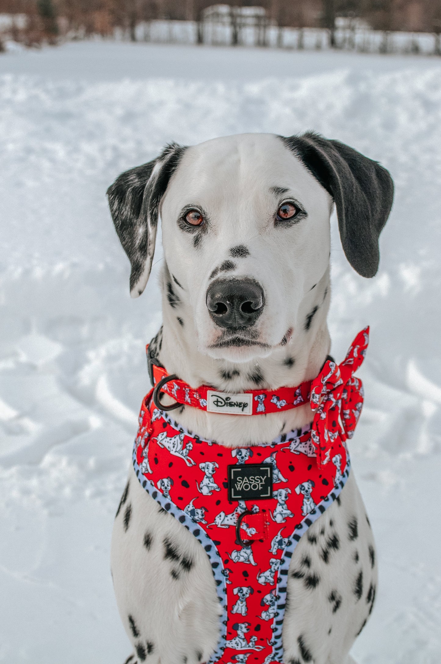 Dog Three Piece Bundle - Disney's 101 Dalmatians