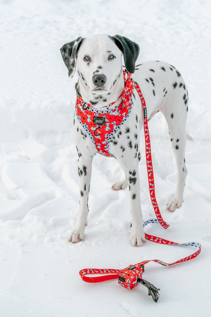 Dog Waste Bag Holder - Disney's 101 Dalmatians