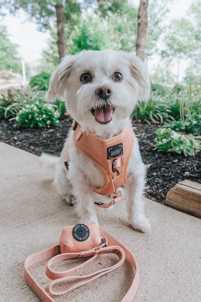 Dog Waste Bag Holder - Apple Cider