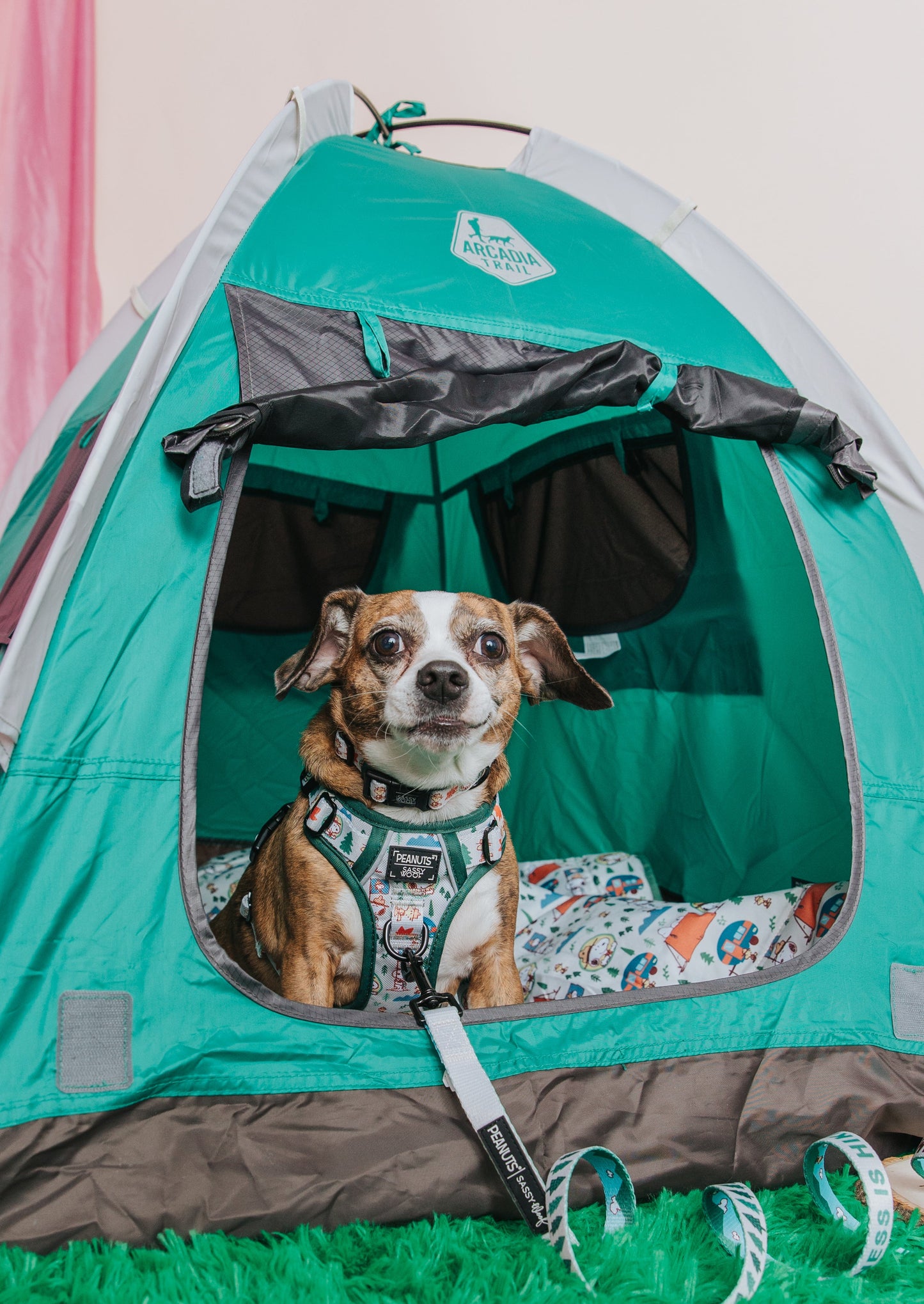 Dog Picnic Blanket - Peanuts™ Beagle Scouts