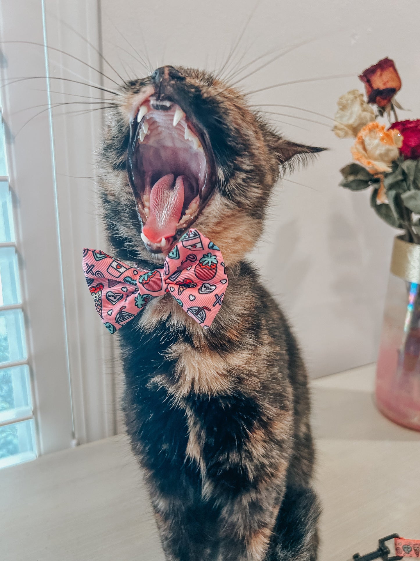 Cat Bowtie - I Chews You