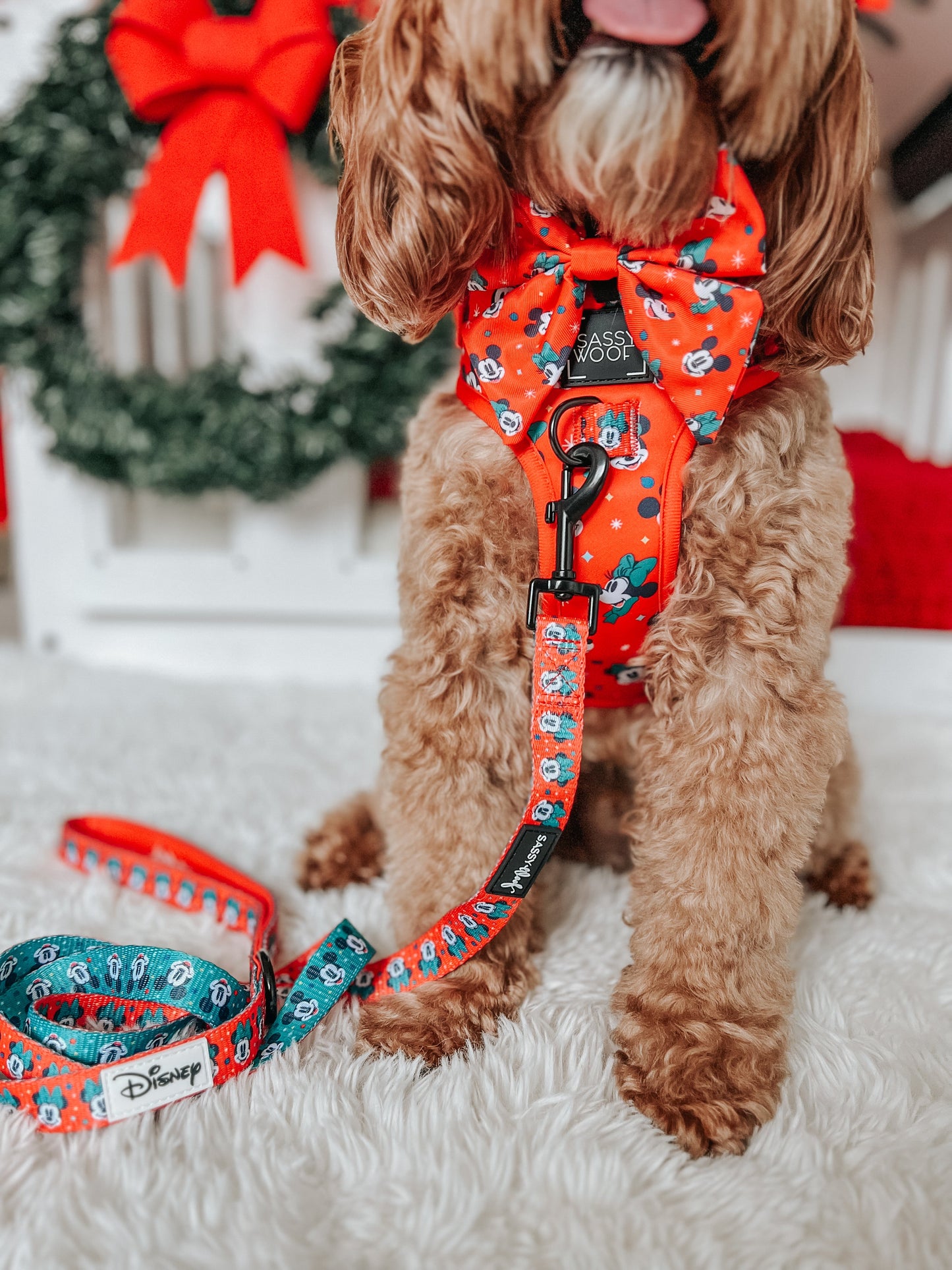 Dog Sailor Bow - Disney Holiday Collection