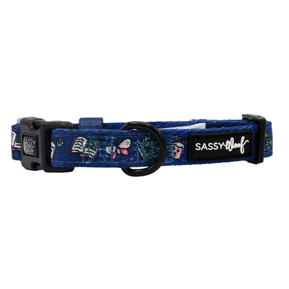 Dog Collar - Spellbound