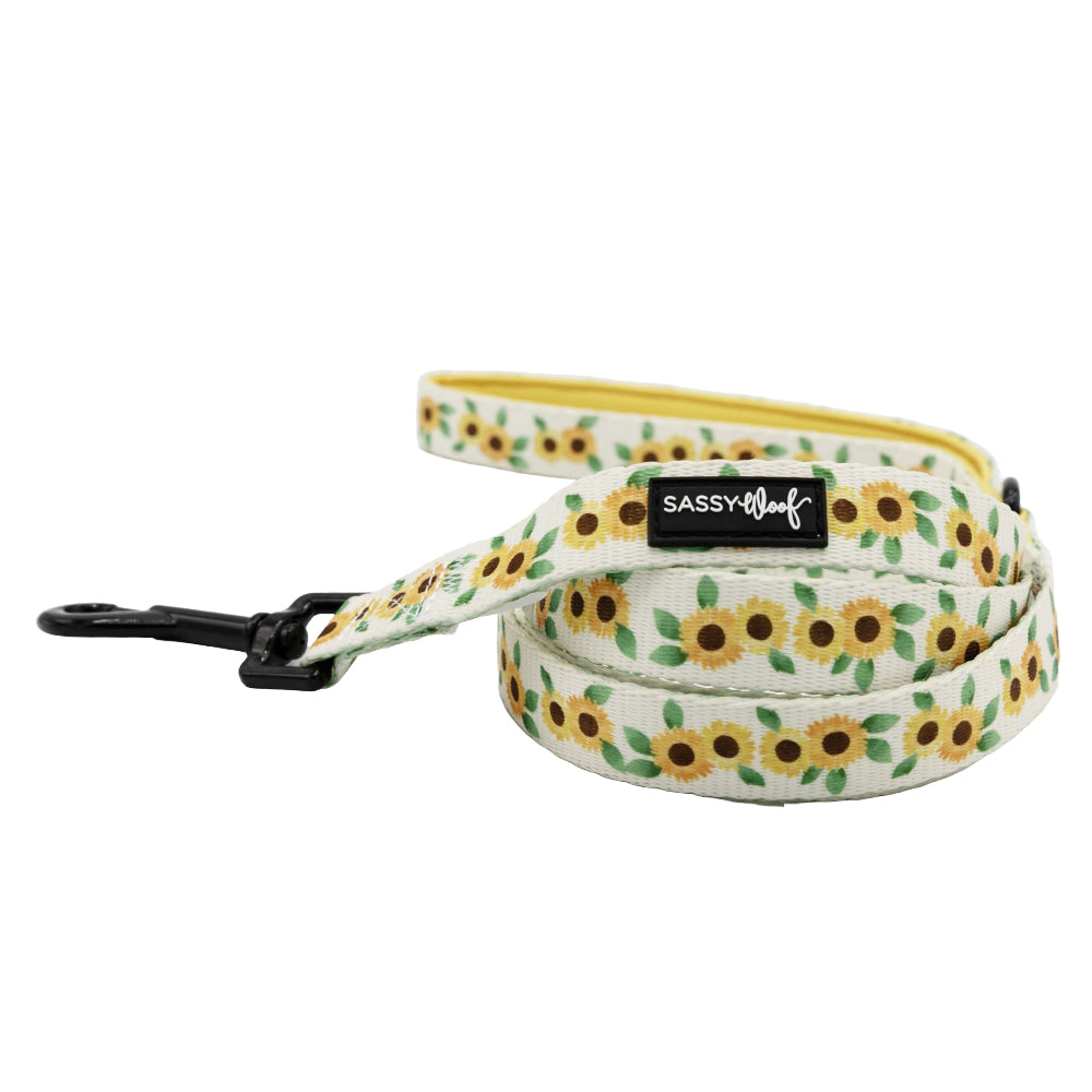 Dog Collar Three Piece Bundle - Sunflower Dreams
