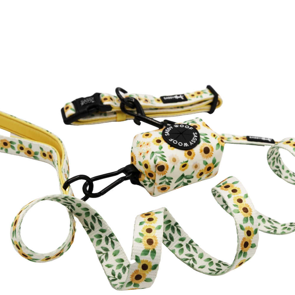 Dog Collar Three Piece Bundle - Sunflower Dreams