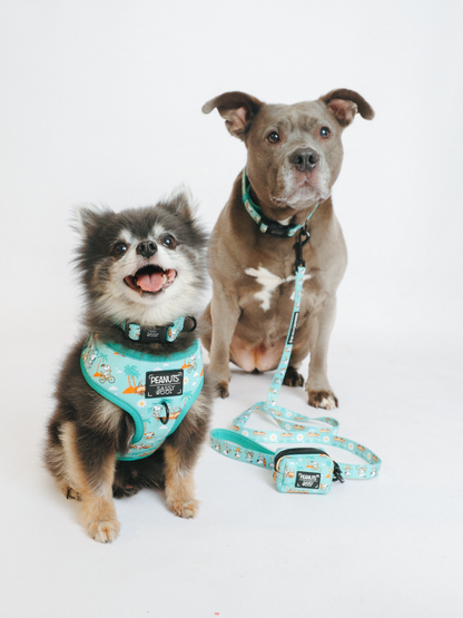 Dog Four Piece Bundle - Peanuts™ Road Tripping