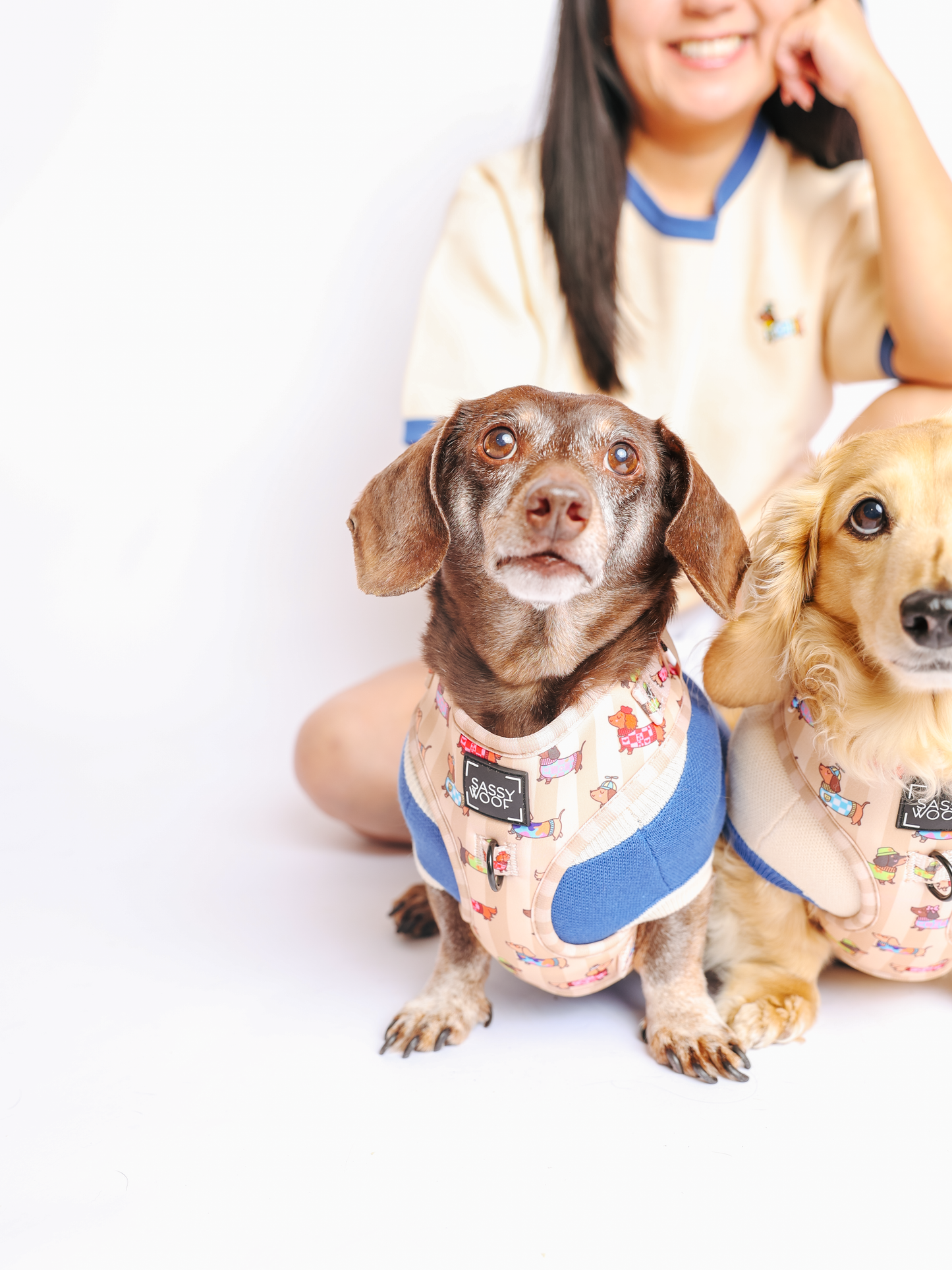 Dog Adjustable Harness - Sunbean