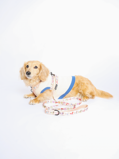 Dog Leash - Sunbean
