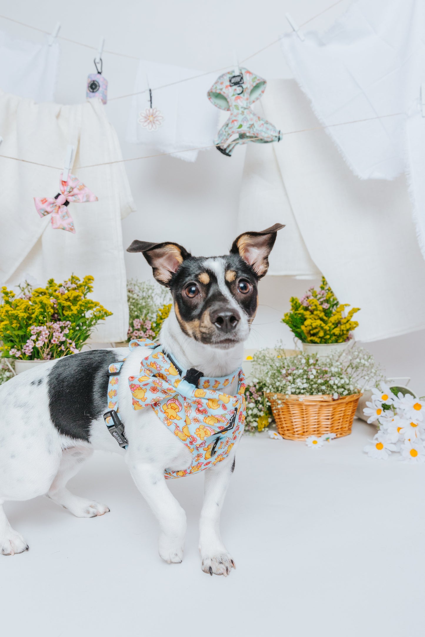 Dog Two Piece Bundle - Good Duck, Babe!